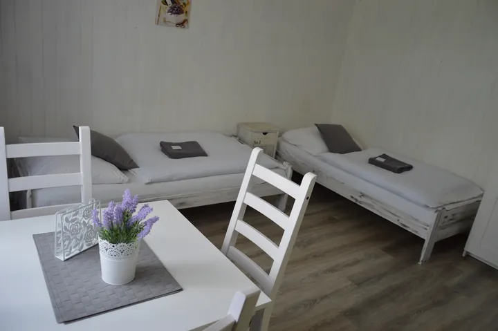 Pokoj se dvěma lůžky, stolkem a levandulí